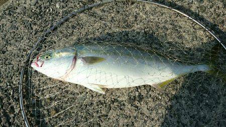 13時間の戦いの末！