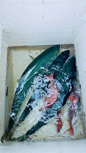 キャストゲーム