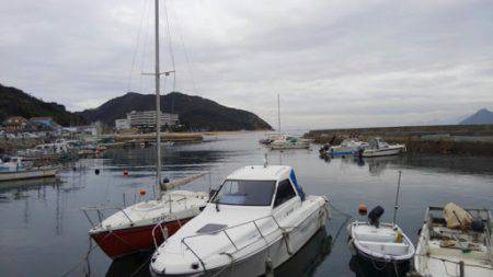 メタルマルフラットフィッシュ