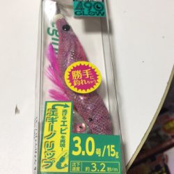 雨か降る前にエギング、アジング