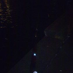 台風前の釣行だが…