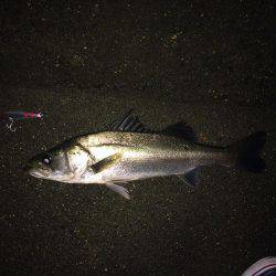 粘ってなんとか。