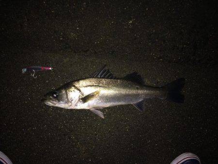 粘ってなんとか。