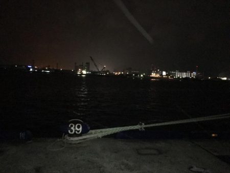 小雨のタチウオ調査！渋いっ…。