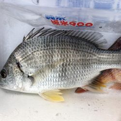 小物に癒されて