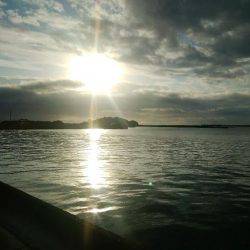 ワームでオオモンハタ