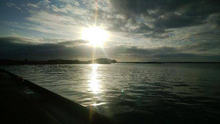 ワームでオオモンハタ