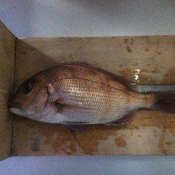 激流攻略の足掛かりの1枚