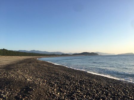 大里松原海岸 ハマチ 47cm