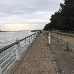 大阪舞洲（まいしま）でカニでヘチ釣り　食いが渋かった！