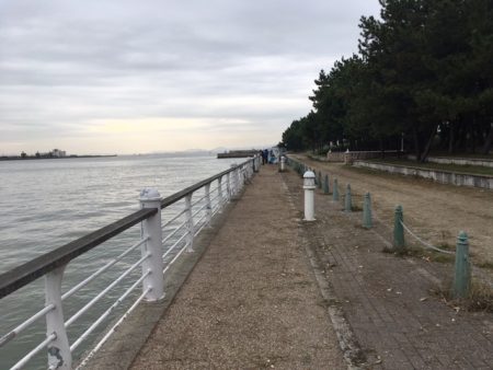 大阪舞洲（まいしま）でカニでヘチ釣り　食いが渋かった！