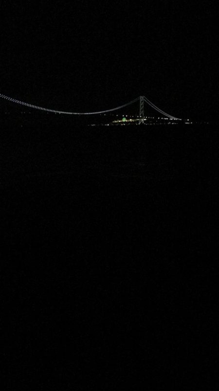 アオリイカ釣りたい