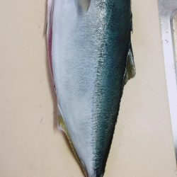 ショアプラッキング・ジギング