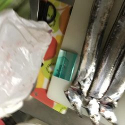 朝まずめ淡路島