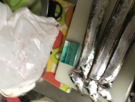 朝まずめ淡路島