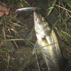 キモはスローリトリーブ！橋下でドン！