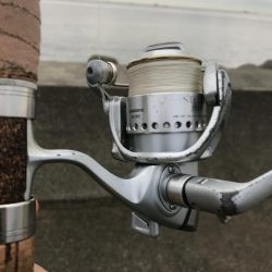 誰でも入れ食い