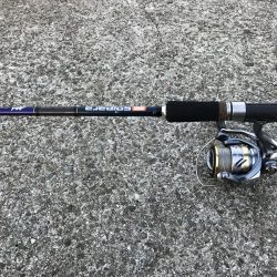 濁りで、魚もこんらん？