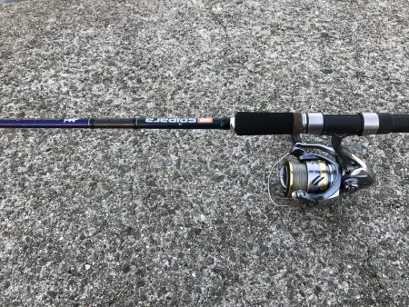 濁りで、魚もこんらん？