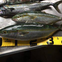 今日は良かった❗️