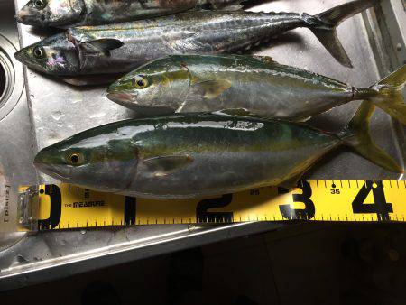 今日は良かった❗️