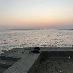 サイズが小さい