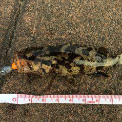 お手軽ワーム釣り