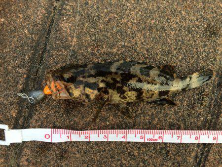 お手軽ワーム釣り