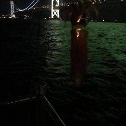 イカ調査&また行ってきました!