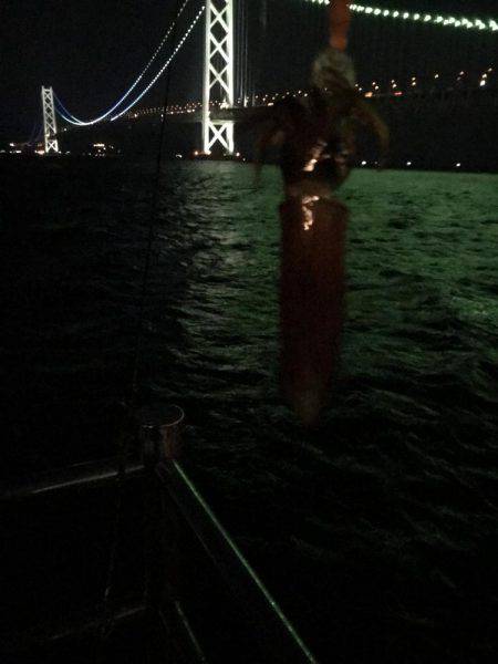 イカ調査&また行ってきました!