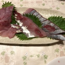 良く釣れました