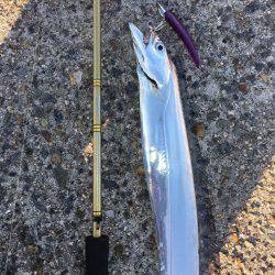 好調の武庫一！