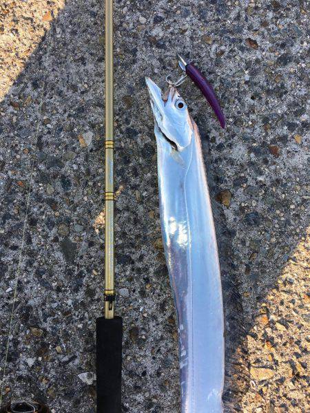 好調の武庫一！