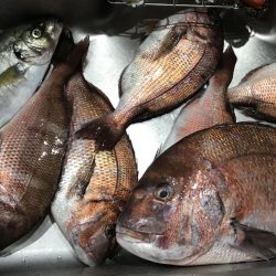 海上釣堀辨屋にて