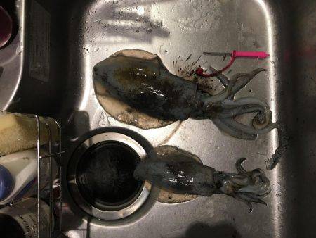 陽が沈んでから