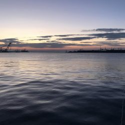 なんとか、ボウズは…。