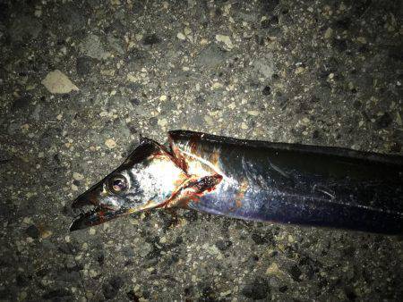 ダブルヘッダー‼️