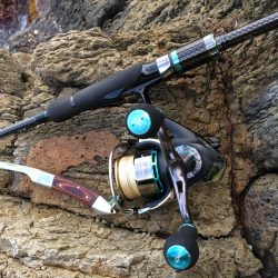 リフレッシュ釣行