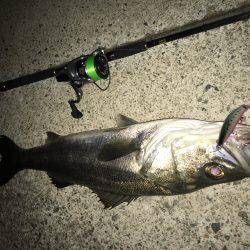 ボイル後の一本!