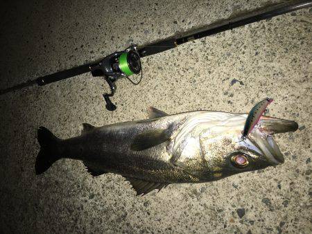 ボイル後の一本!