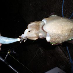 台風前の雨の中