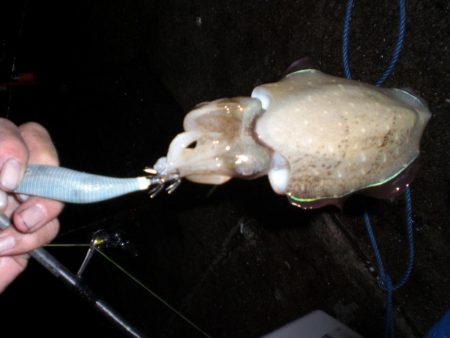 台風前の雨の中