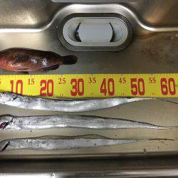 ワインド釣行！