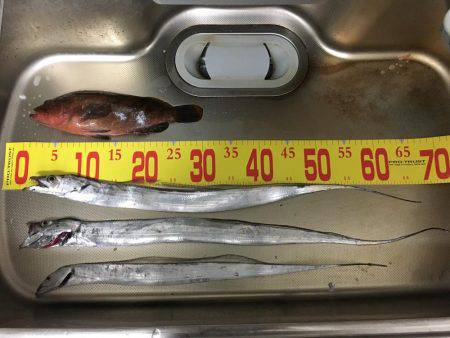 ワインド釣行！