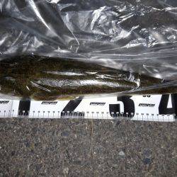 河口部 ジギング