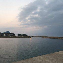 イカは何処に居るん？