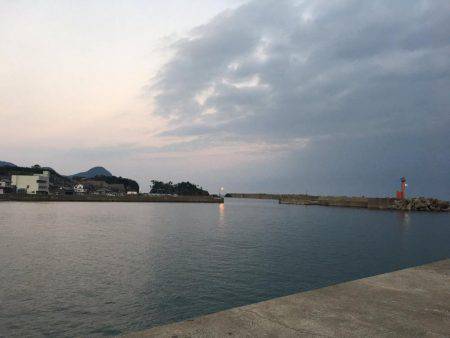 イカは何処に居るん？