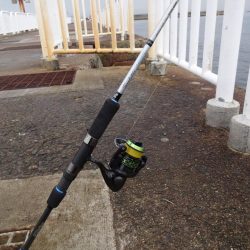 もっと釣れると思ったのに渋かったです