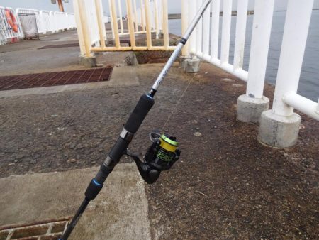 もっと釣れると思ったのに渋かったです