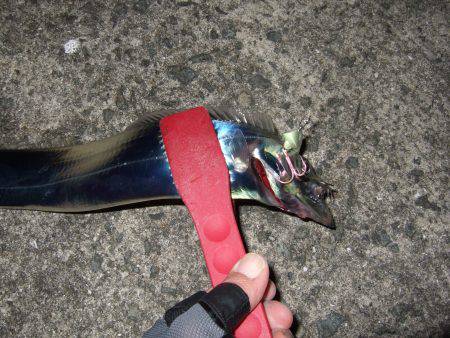 ようやく調子が出てきた？